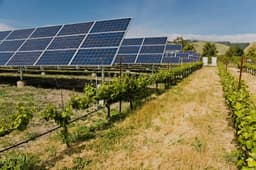 Agricultural services for solar quote McFarland - Next Phase Electric